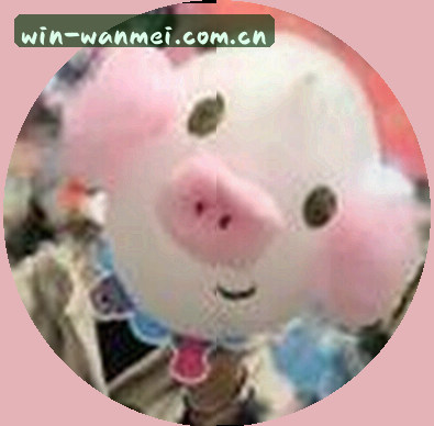 陈磊